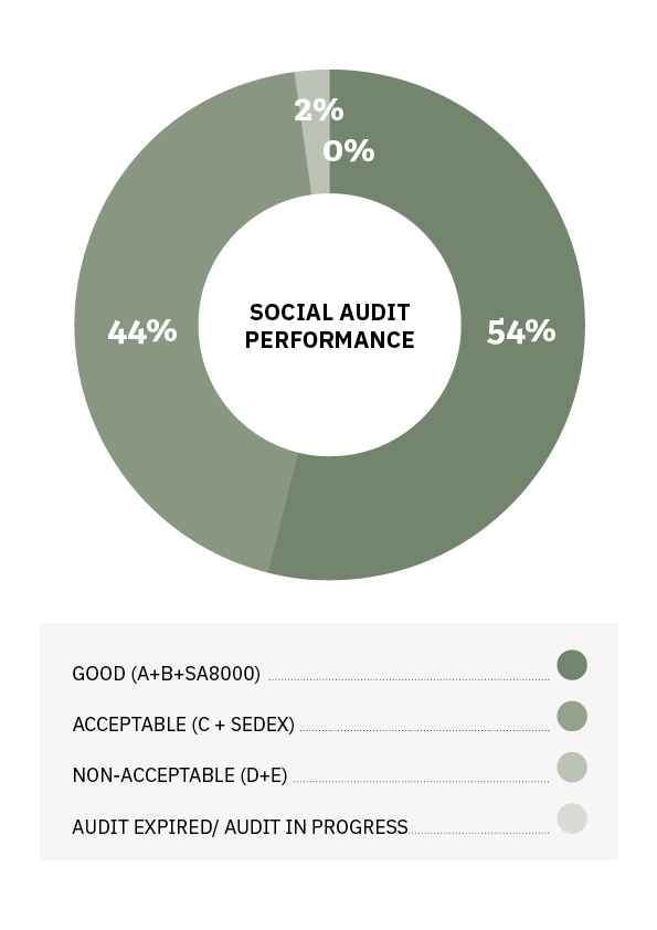 SocialAuditPerformance_2024